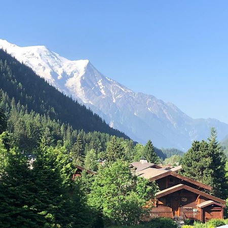 Residence La Verte 24- Aux Pieds Des Pistes! Шамоні Екстер'єр фото