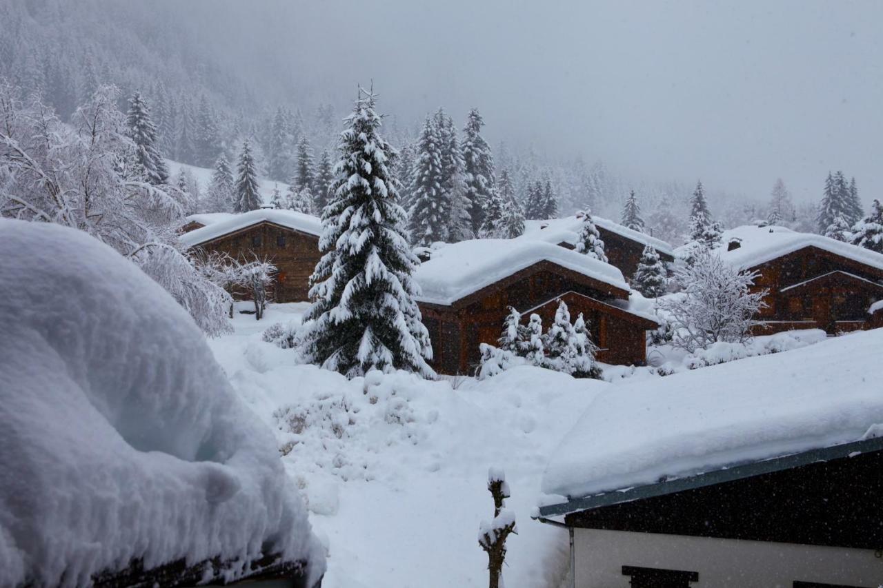 Residence La Verte 24- Aux Pieds Des Pistes! Шамоні Екстер'єр фото